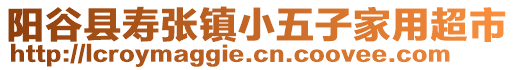 陽谷縣壽張鎮(zhèn)小五子家用超市