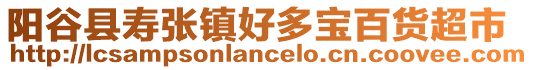 陽(yáng)谷縣壽張鎮(zhèn)好多寶百貨超市