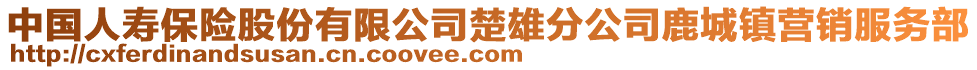 中國(guó)人壽保險(xiǎn)股份有限公司楚雄分公司鹿城鎮(zhèn)營(yíng)銷服務(wù)部