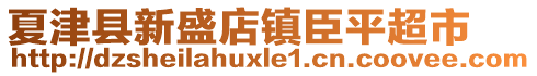 夏津县新盛店镇臣平超市