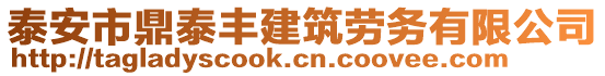 泰安市鼎泰豐建筑勞務(wù)有限公司