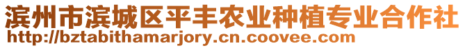 濱州市濱城區(qū)平豐農(nóng)業(yè)種植專(zhuān)業(yè)合作社