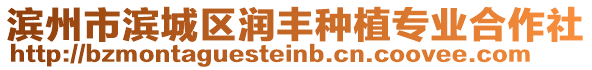 濱州市濱城區(qū)潤豐種植專業(yè)合作社