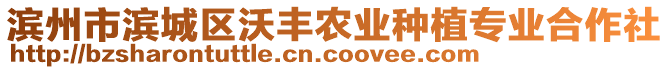 濱州市濱城區(qū)沃豐農(nóng)業(yè)種植專業(yè)合作社