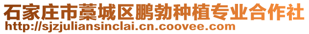 石家莊市藁城區(qū)鵬勃種植專業(yè)合作社