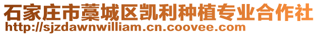 石家庄市藁城区凯利种植专业合作社