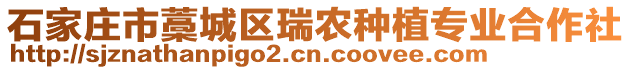 石家莊市藁城區(qū)瑞農(nóng)種植專業(yè)合作社