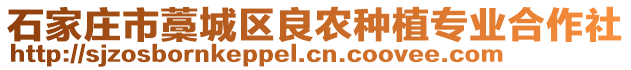 石家莊市藁城區(qū)良農(nóng)種植專業(yè)合作社