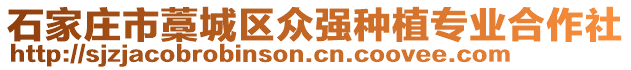 石家莊市藁城區(qū)眾強(qiáng)種植專業(yè)合作社