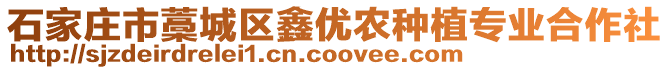 石家庄市藁城区鑫优农种植专业合作社