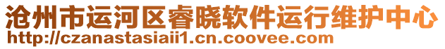 滄州市運河區(qū)睿曉軟件運行維護中心