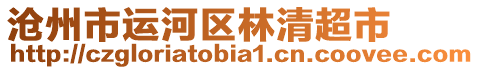 沧州市运河区林清超市