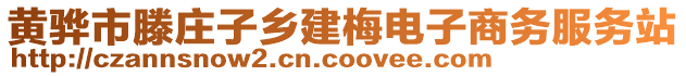 黄骅市滕庄子乡建梅电子商务服务站