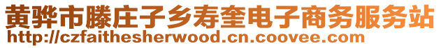 黄骅市滕庄子乡寿奎电子商务服务站