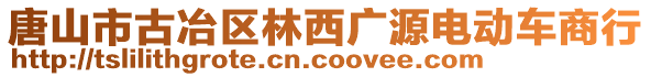 唐山市古冶區(qū)林西廣源電動車商行