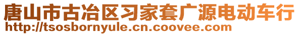 唐山市古冶区习家套广源电动车行