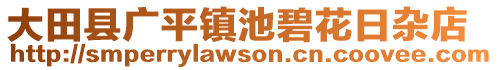 大田縣廣平鎮(zhèn)池碧花日雜店