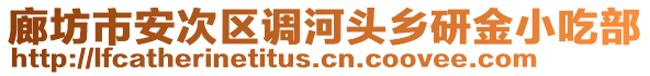 廊坊市安次區(qū)調(diào)河頭鄉(xiāng)研金小吃部