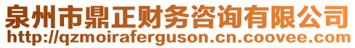 泉州市鼎正财务咨询有限公司