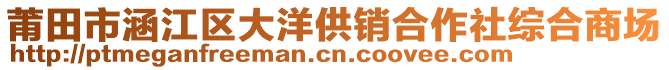 莆田市涵江區(qū)大洋供銷合作社綜合商場(chǎng)