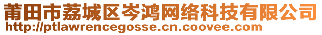 莆田市荔城區(qū)岑鴻網(wǎng)絡(luò)科技有限公司