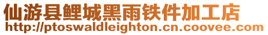 仙游縣鯉城黑雨鐵件加工店