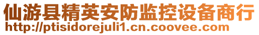 仙游縣精英安防監控設備商行