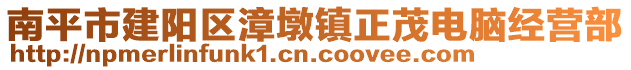 南平市建陽區(qū)漳墩鎮(zhèn)正茂電腦經營部