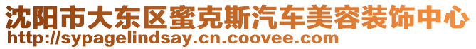 沈陽市大東區(qū)蜜克斯汽車美容裝飾中心