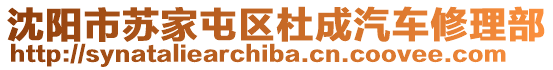 沈陽(yáng)市蘇家屯區(qū)杜成汽車修理部