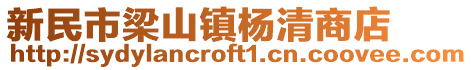 新民市梁山鎮楊清商店