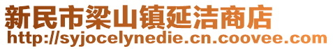 新民市梁山镇延洁商店