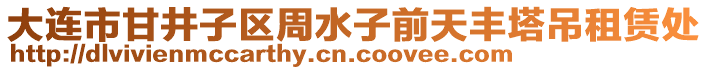 大連市甘井子區(qū)周水子前天豐塔吊租賃處