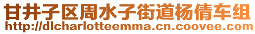 甘井子區(qū)周水子街道楊倩車組