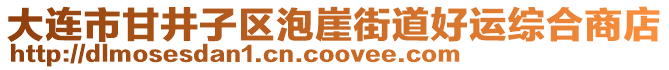 大连市甘井子区泡崖街道好运综合商店