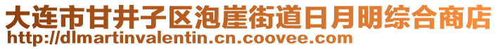 大連市甘井子區(qū)泡崖街道日月明綜合商店