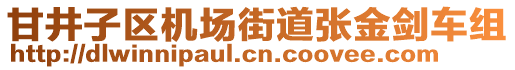 甘井子區(qū)機(jī)場(chǎng)街道張金劍車組