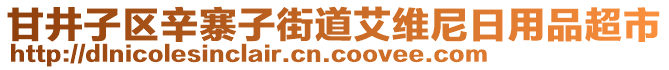 甘井子區(qū)辛寨子街道艾維尼日用品超市