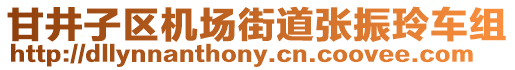 甘井子區(qū)機(jī)場(chǎng)街道張振玲車(chē)組