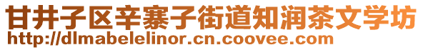 甘井子區(qū)辛寨子街道知潤茶文學坊