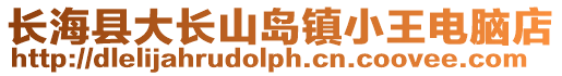 长海县大长山岛镇小王电脑店