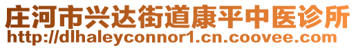 庄河市兴达街道康平中医诊所