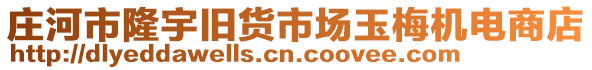 莊河市隆宇舊貨市場(chǎng)玉梅機(jī)電商店