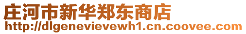 莊河市新華鄭東商店