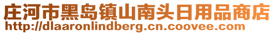 莊河市黑島鎮(zhèn)山南頭日用品商店