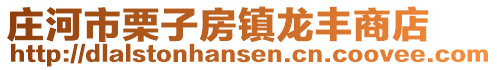 莊河市栗子房鎮(zhèn)龍豐商店