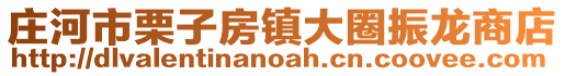 莊河市栗子房鎮(zhèn)大圈振龍商店