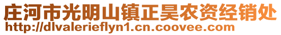 莊河市光明山鎮(zhèn)正昊農(nóng)資經(jīng)銷(xiāo)處