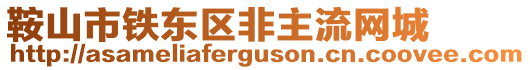 鞍山市鐵東區(qū)非主流網(wǎng)城