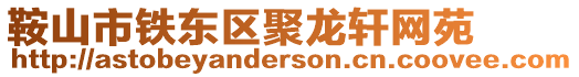 鞍山市鐵東區(qū)聚龍軒網(wǎng)苑